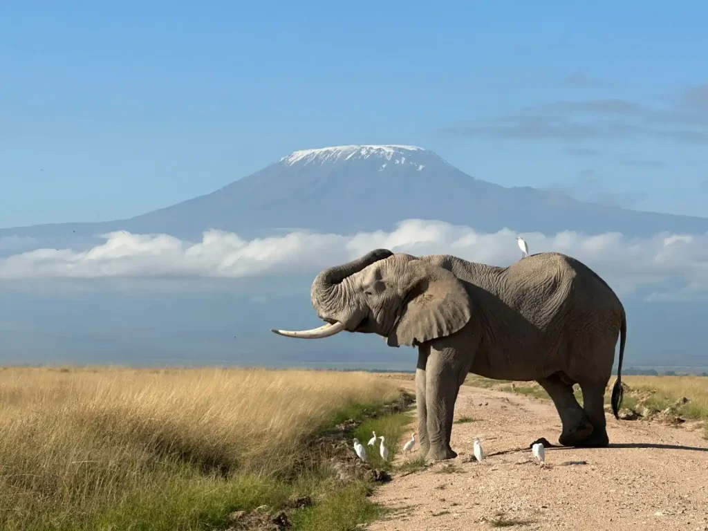 Lamu to Tanzania Air Safari Package