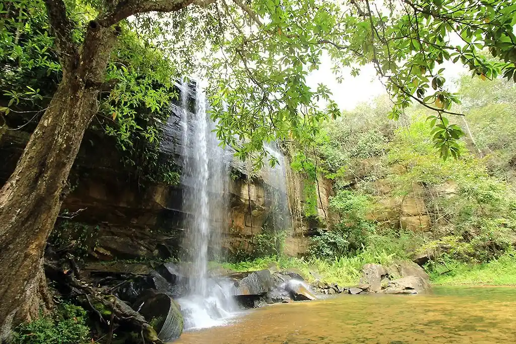Shimba Hills Forest & Falls Safari